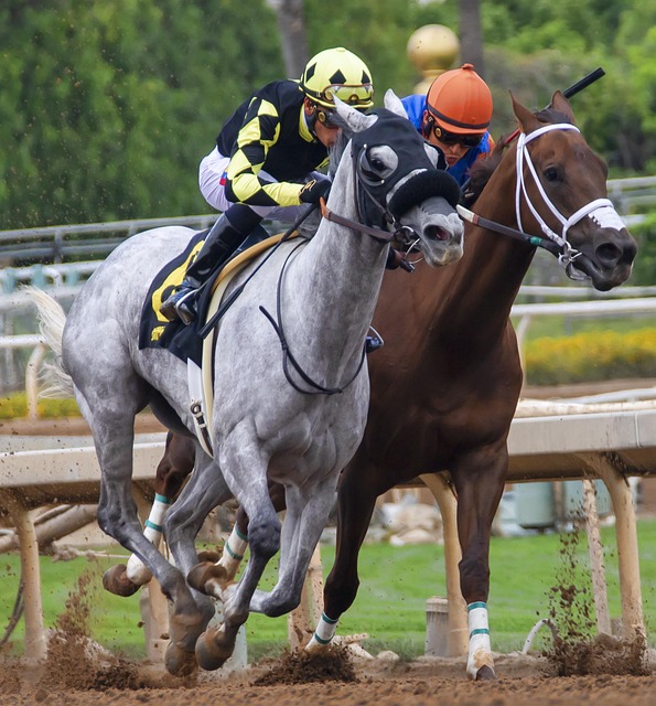 要和情感羁 要和情感羁