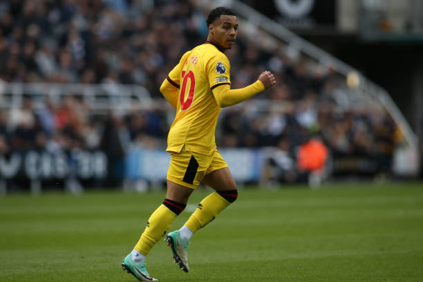 以某位年轻 以某位年轻