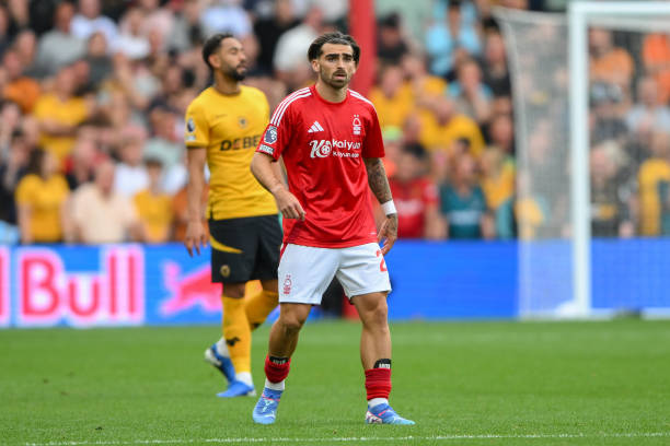 网球界的盛 网球界的盛