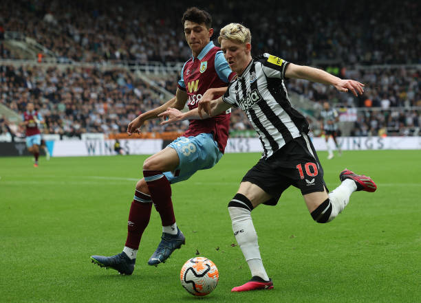 大多数选手 大多数选手