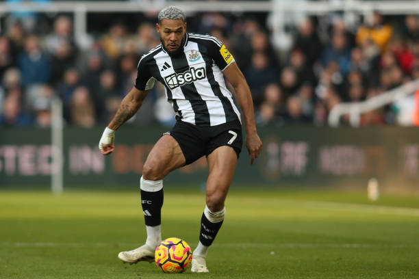 景观的描绘 景观的描绘